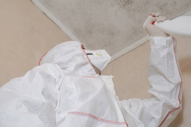 Best Mold Cleaning Services  in East Bernard, TX