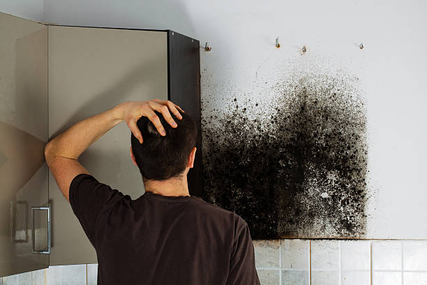 Best Residential Mold Removal  in East Bernard, TX