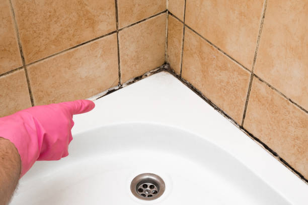 Best Mold Cleaning Services  in East Bernard, TX